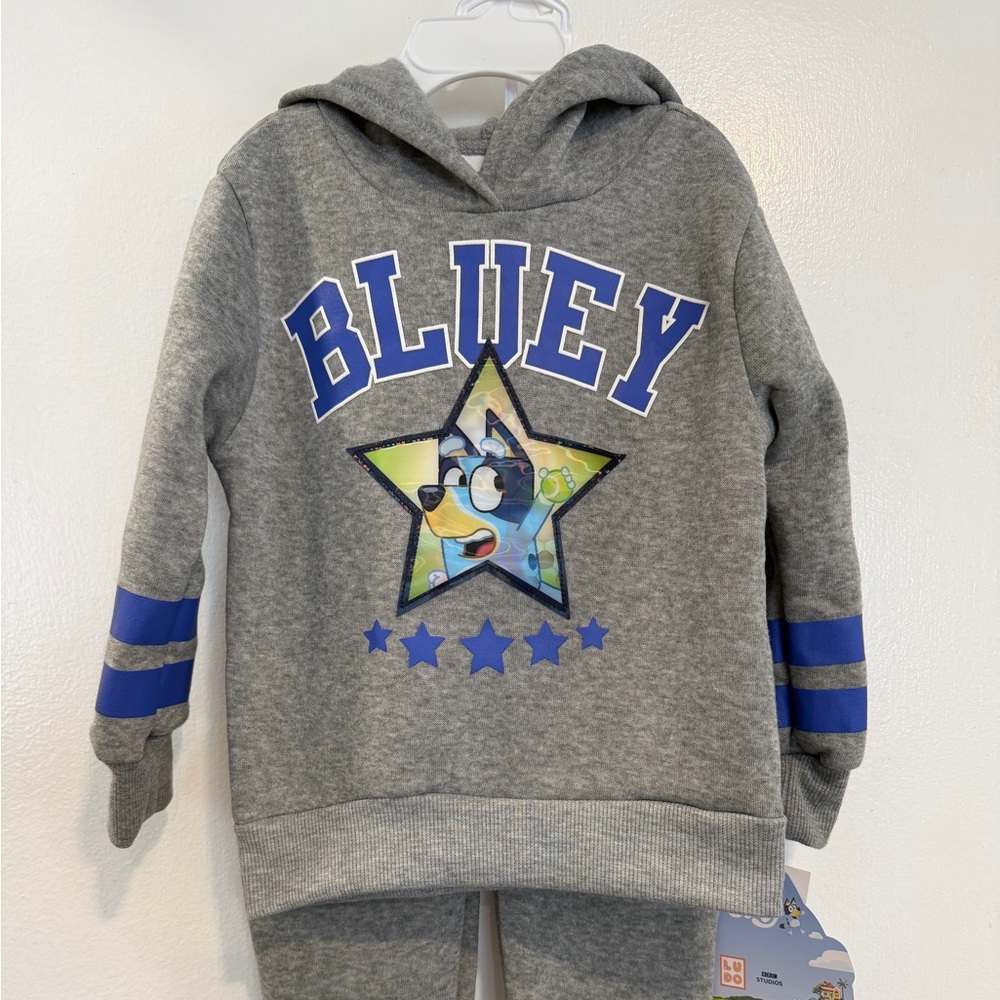 NWT 3T Bluey Gray and Blue Hoodie Set